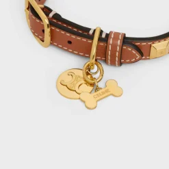 Sale Bone dog medal in brass Dog Accessories