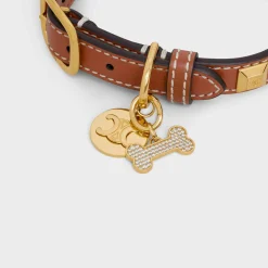 Fashion Bone strass dog medal in brass Dog Accessories
