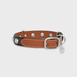 Outlet Medium Large Dog Collar in Triomphe Canvas and Calfskin with Studs Dog Accessories