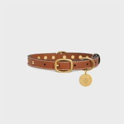 Clearance Medium Thin Dog Collar in Smooth Calfskin with Triomphe Studs Dog Accessories