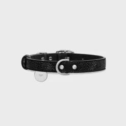 New MEDIUM THIN DOG COLLAR IN SUEDE CALFSKIN WITH STRASS Dog Accessories