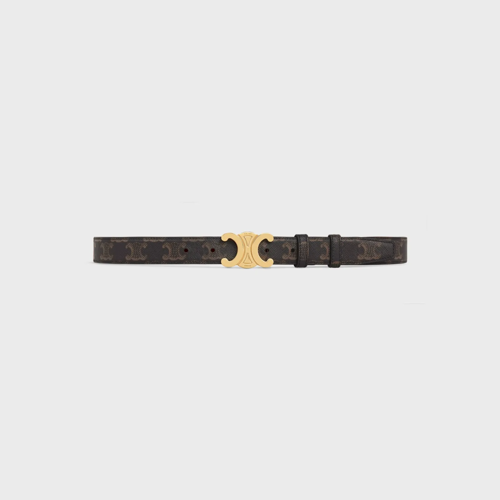 Fashion Medium Triomphe Belt in Triomphe Canvas Women Triomphe