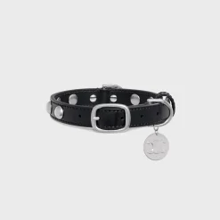 Hot Small Thin Dog Collar in Smooth Calfskin with Studs Dog Accessories