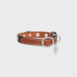 New Small Thin Dog Collar in Triomphe Canvas & Calfskin with studs Dog Accessories