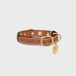 Sale Small Thin Dog Collar in Triomphe Canvas & Calfskin with studs Dog Accessories