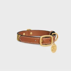 Clearance Small thin dog collar in triomphe canvas with print and calfskin Dog Accessories
