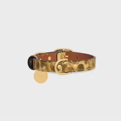 Clearance Small thin dog collar in triomphe canvas with print and calfskin Dog Accessories