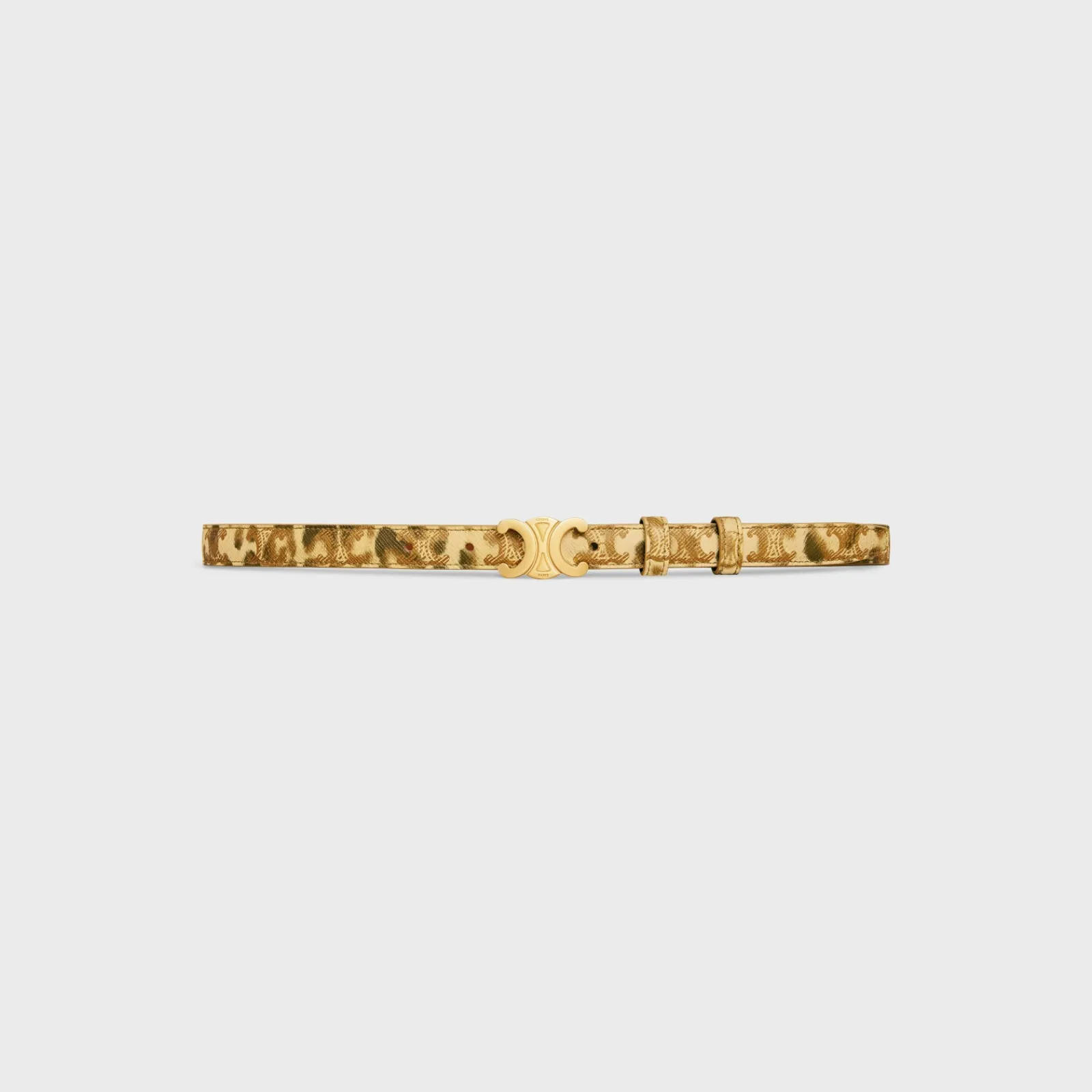 Discount Small Triomphe Belt in TRIOMPHE CANVAS WITH PRINT Women Triomphe