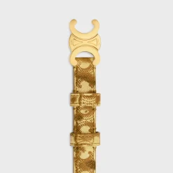 Discount Small Triomphe Belt in TRIOMPHE CANVAS WITH PRINT Women Triomphe