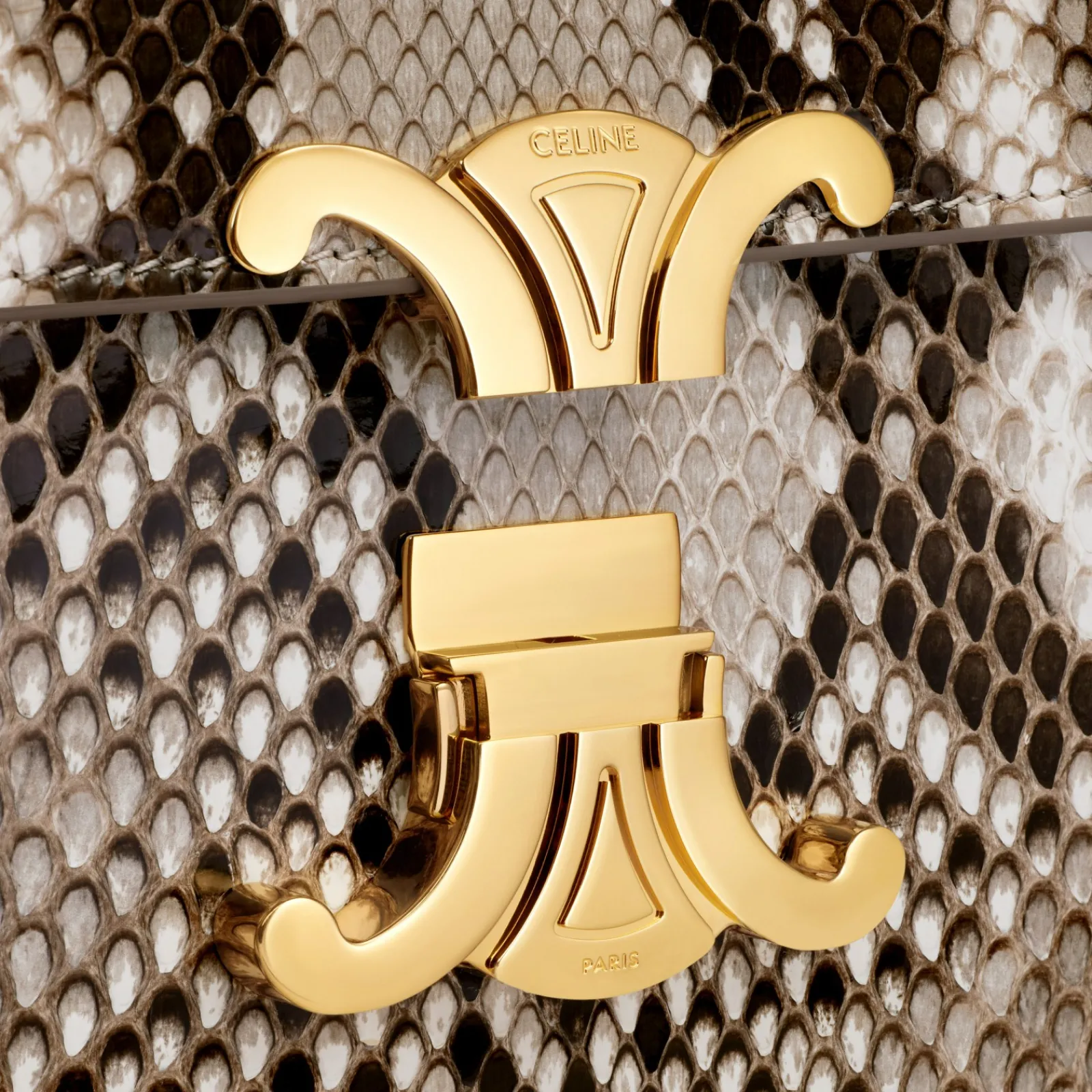 Best Teen Triomphe Bag in PYTHON Women Triomphe | Categories·Cross-Body Bags