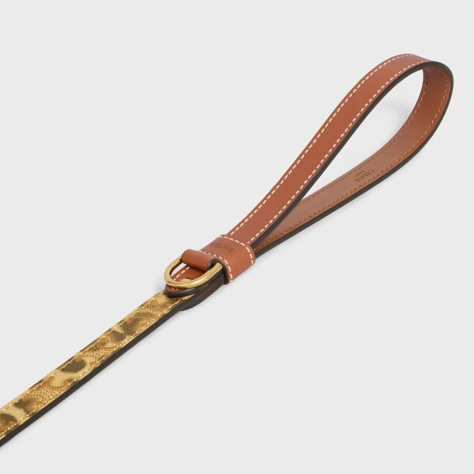 Fashion Thin dog leash in Triomphe canvas with print and calfskin Dog Accessories