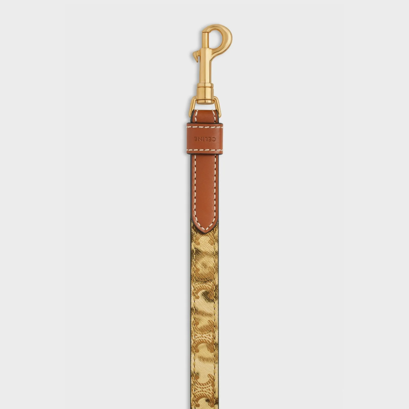 Fashion Thin dog leash in Triomphe canvas with print and calfskin Dog Accessories